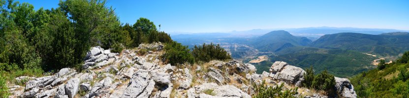 Tontorra, Borreguil