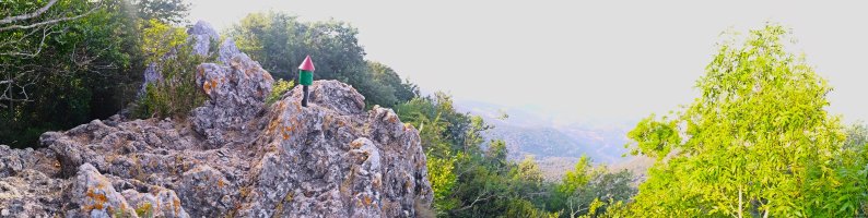 Tontorra