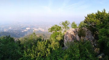 Tontorra