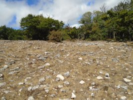 mugalarribel 1