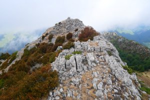 Larratza / Pikoatxikota tontorra