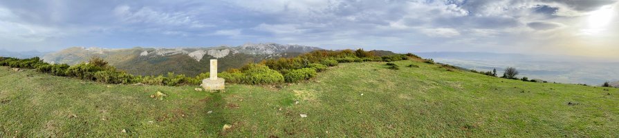 Tontorra