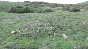 Urdintxa 4 tumulua, Andia