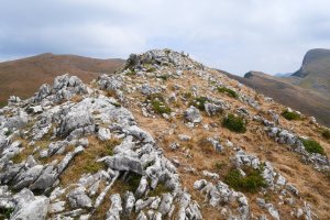Egurtegi tontorra