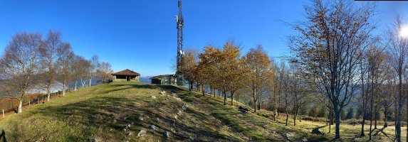 Tontorra