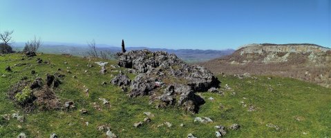 Tontorra