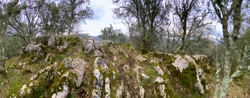 Tontorra