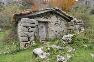 Bustintzako borda