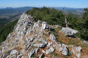 Tontorra, Arrondoa