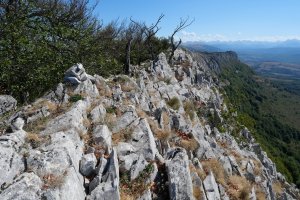 Tontorra, Arrondoa