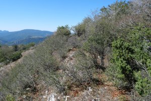 Ugagibel tontorra