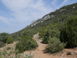 Bidea Ledea parean