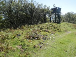 Ollargarata tumulua