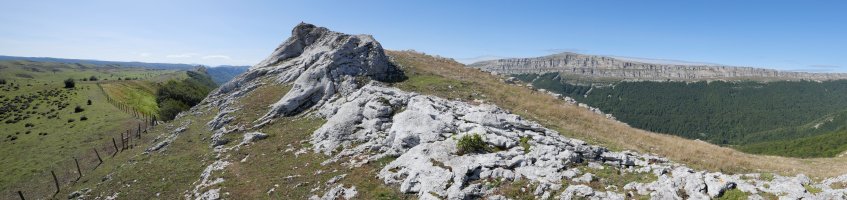 Aitzorrotz tontorra