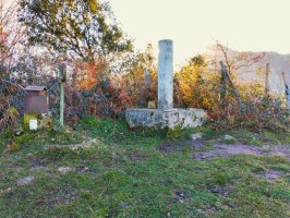 Tontorra