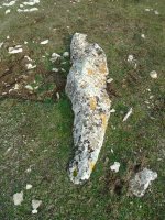 pinar de urbasa sur