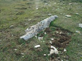 pinar de urbasa sur