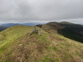 Tontorra