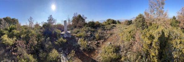Tontorra