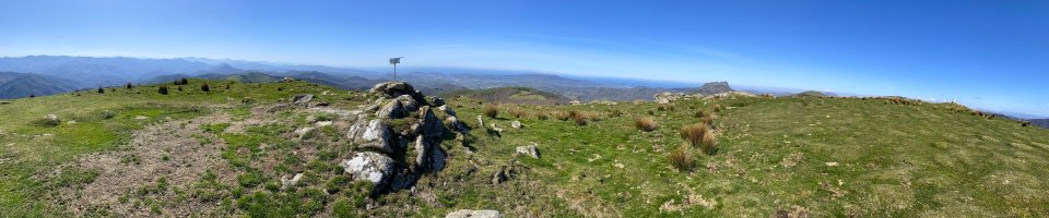 Tontorra