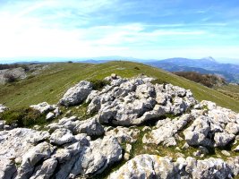 Tontorra