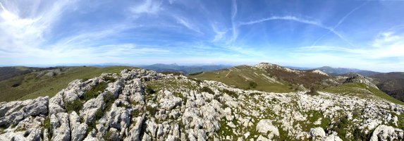 Tontorra