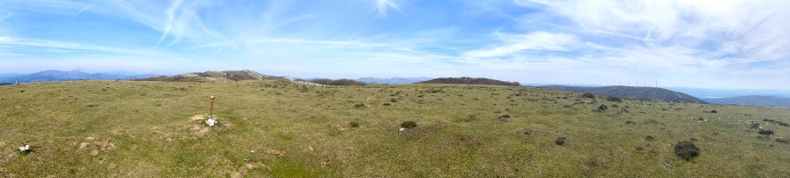 Tontorra
