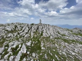 Tontorra