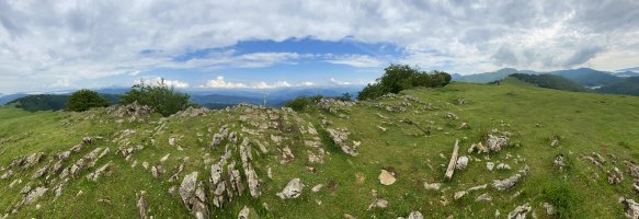 Tontorra
