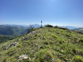Tontorra
