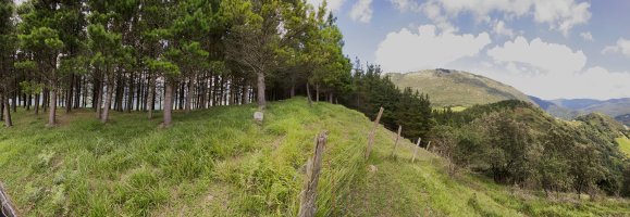Tontorra