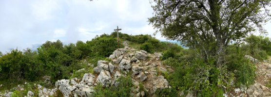 Tontorra