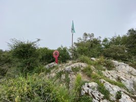 Tontorra