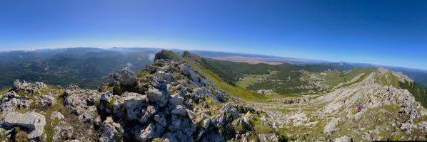 Tontorra