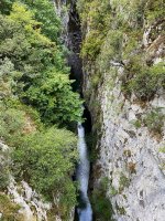 Careseko Arroila