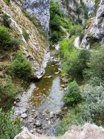 Careseko Arroila
