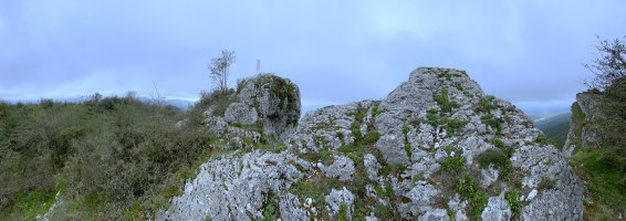 Tontorra