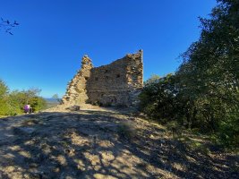 Tontorra