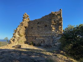 Tontorra