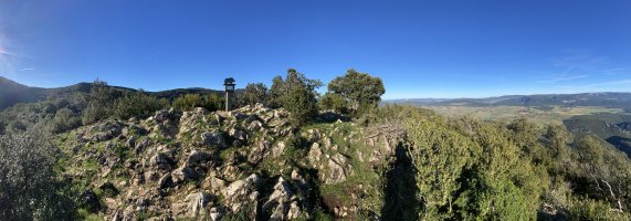 Tontorra