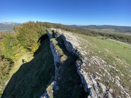 Tontorra