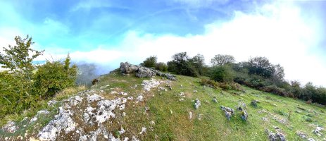 Tontorra