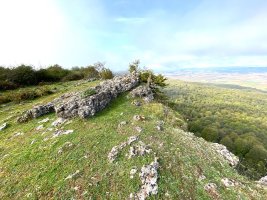 Tontorra