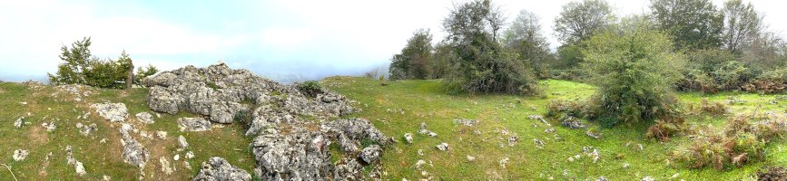 Tontorra