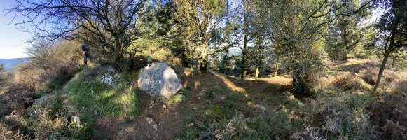 Tontorra