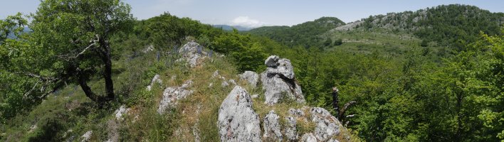 Soiltxiki tontorra
