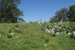 Pagoeta tontorra