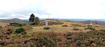 Tontorra