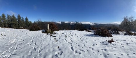 Tontorra