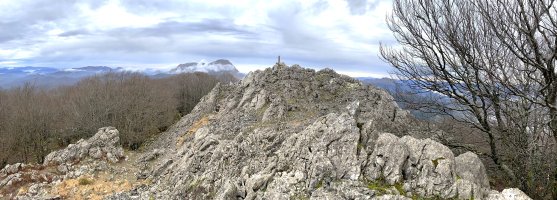 Tontorra